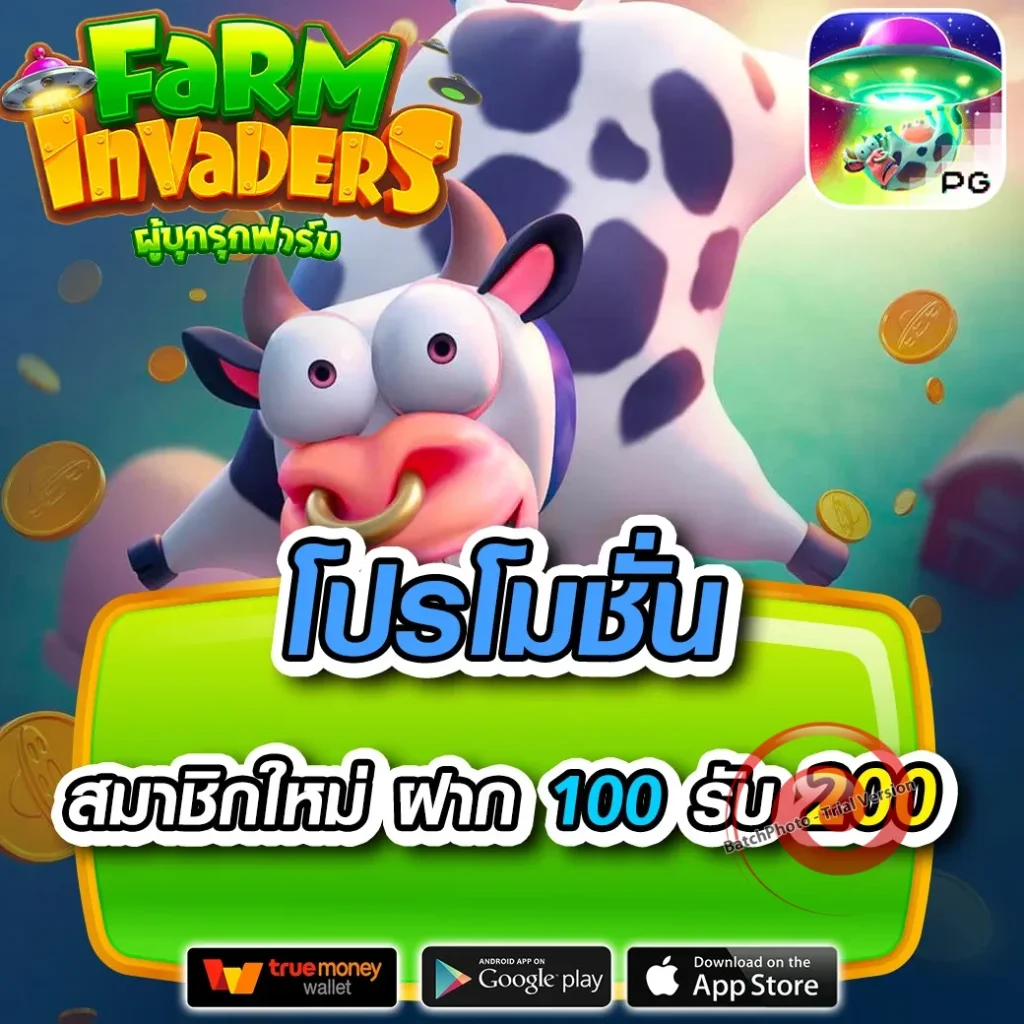 dk7 หวย